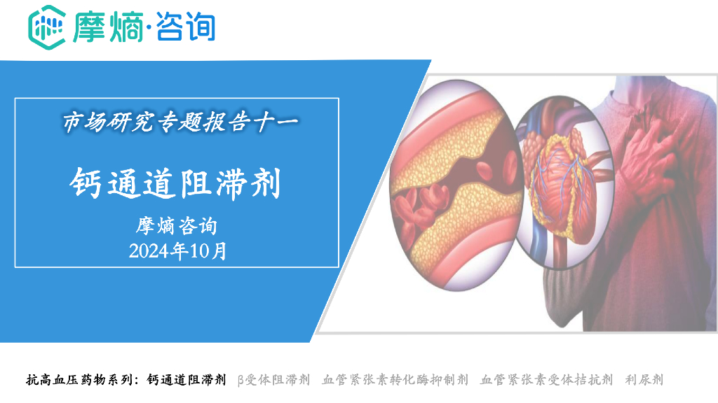 摩熵咨询：2024年市场研究专题报告十一-钙通道阻滞剂