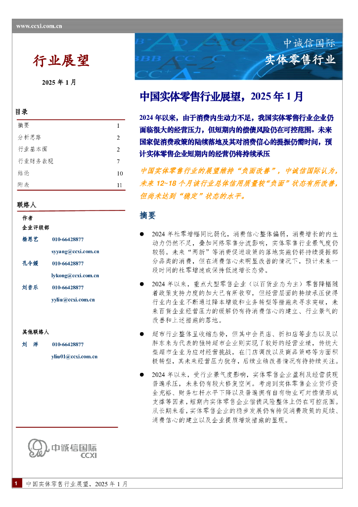 中诚信国际：中国实体零售行业展望，2025年1月