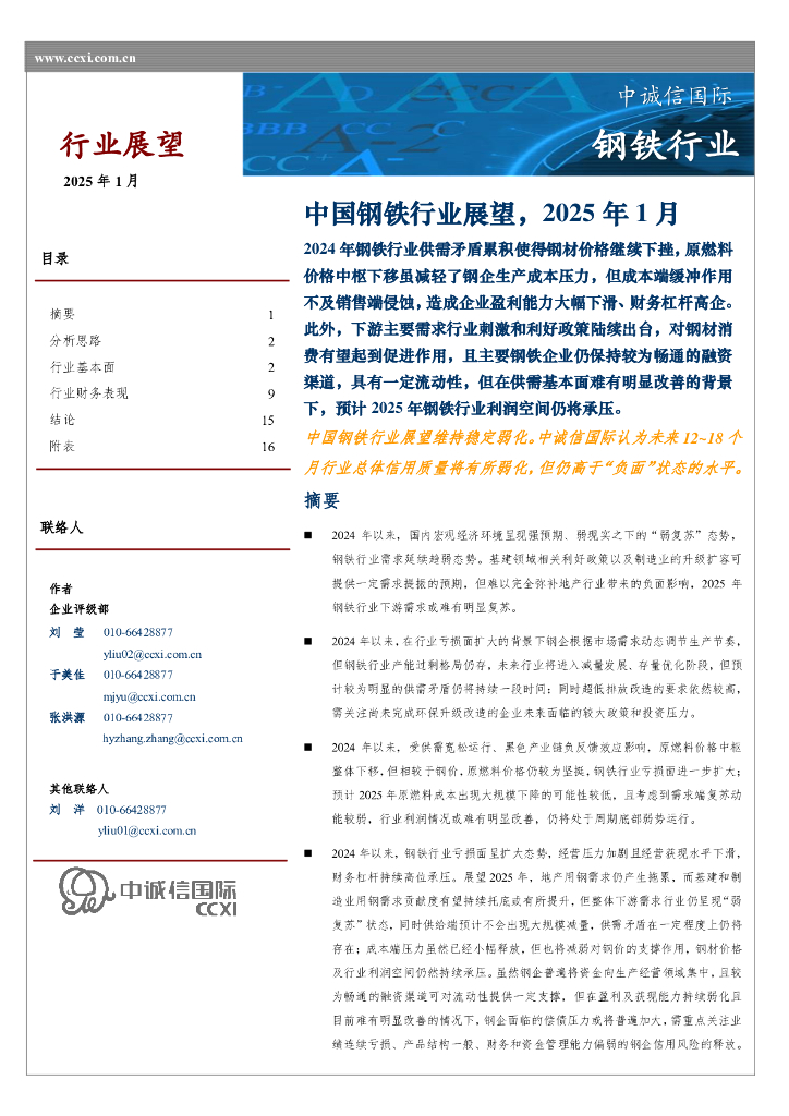 中诚信国际：中国钢铁行业展望，2025年1月