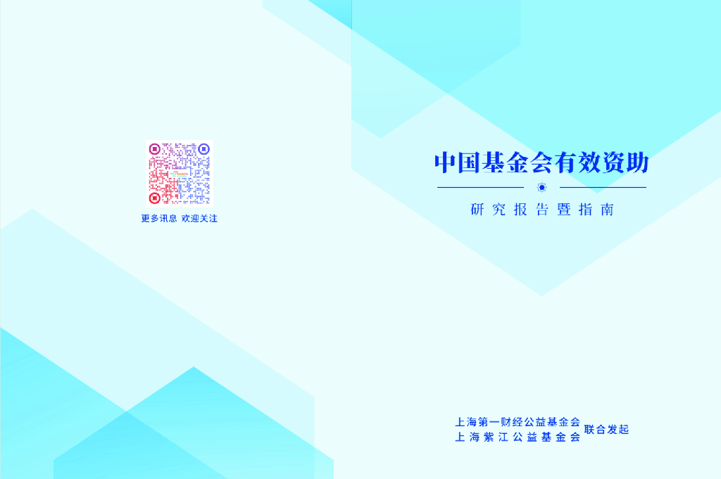 上海第一财经公益基金会：2025中国基金会有效资助研究报告暨指南