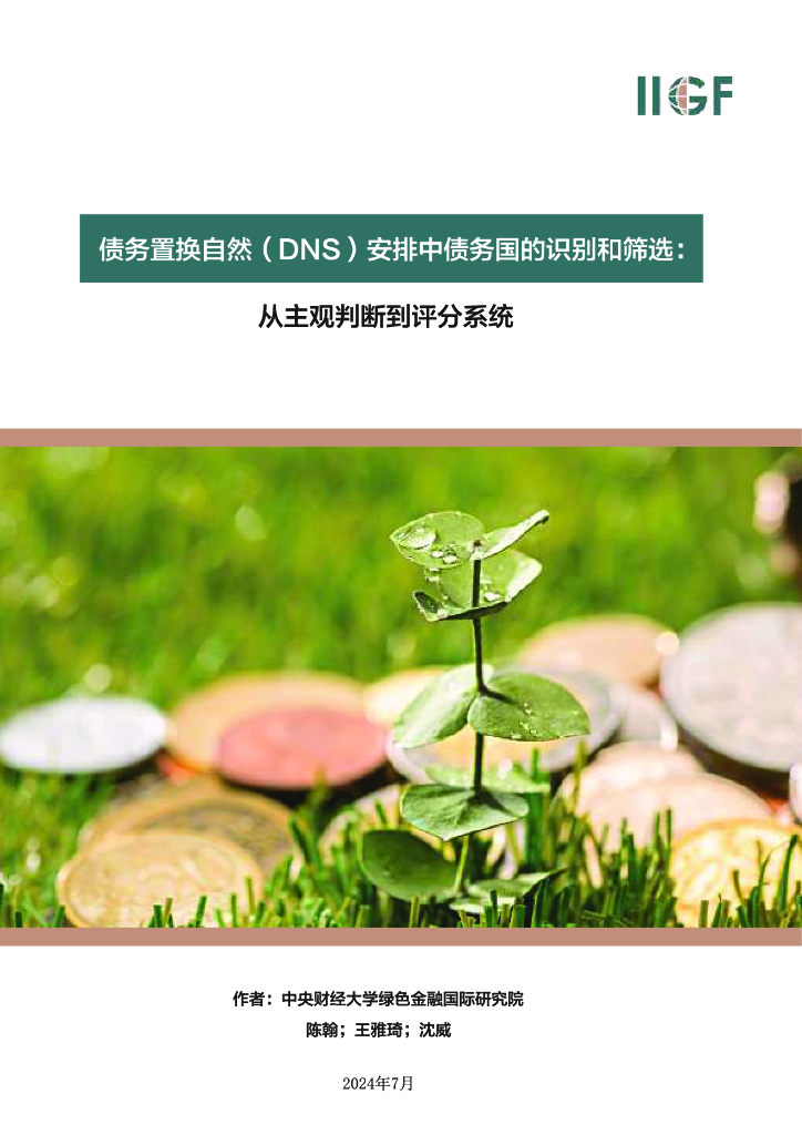 IIGF央财绿金院：2025年债务置换自然（DNS）安排中债务国的识别和筛选报告： 从主观判断到评分系统