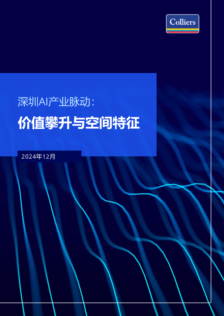 高力国际：2024年深圳AI产业脉动：价值攀升与空间特征报告