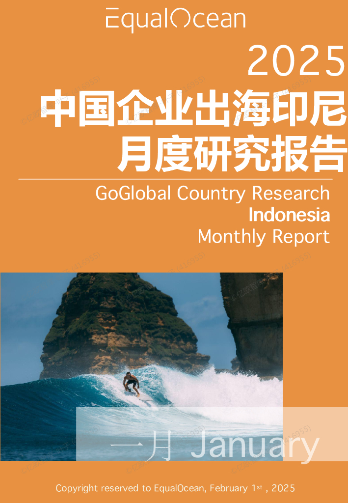 EqualOcean：中国企业出海印尼月度研究报告（2025年1月）
