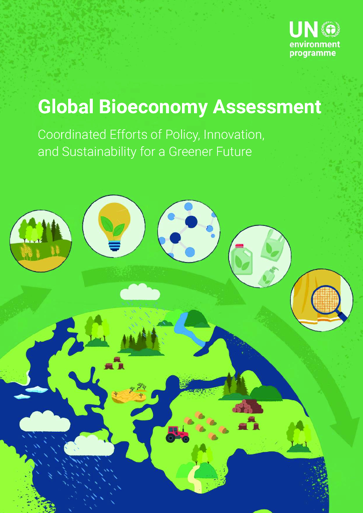 UNEP联合国环境规划署：2024年全球生物基经济评估：为绿色未来协同推进政策、创新与可持续发展报告（英文版）
