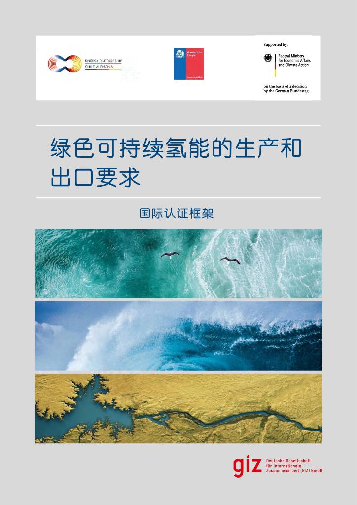 德国联邦经济与气候行动部：2021年绿色可持续氢能的生产和出口要求报告