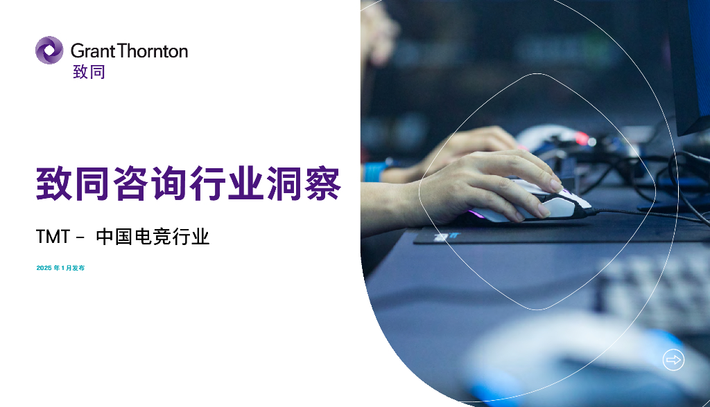 致同咨询：2024年行业洞察报告——中国<em>电竞</em>行业：面临挑战但期待涅槃重生