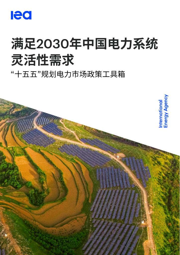 IEA国际能源署：满足2030年中国电力系统灵活性需求-“十五五”规划电力市场政策工具箱 海报