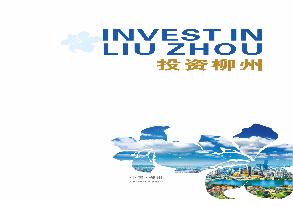 柳州市投资促进局：2024年柳州市外商投资指南