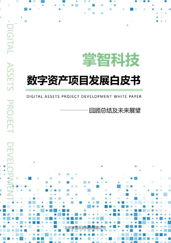 掌智科技：2025年数字资产项目发展白皮书——回顾总结及未来展望