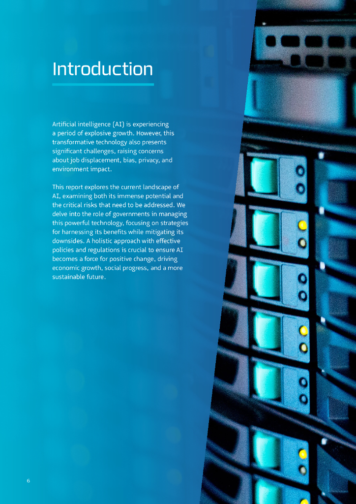 奥纬咨询：2025年人工智能报告：政府行动路线图AI（英文版）_第6页