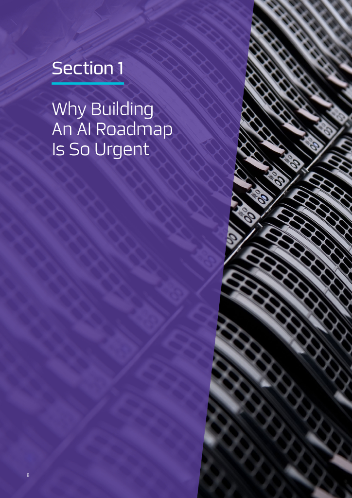 奥纬咨询：2025年人工智能报告：政府行动路线图AI（英文版）_第8页