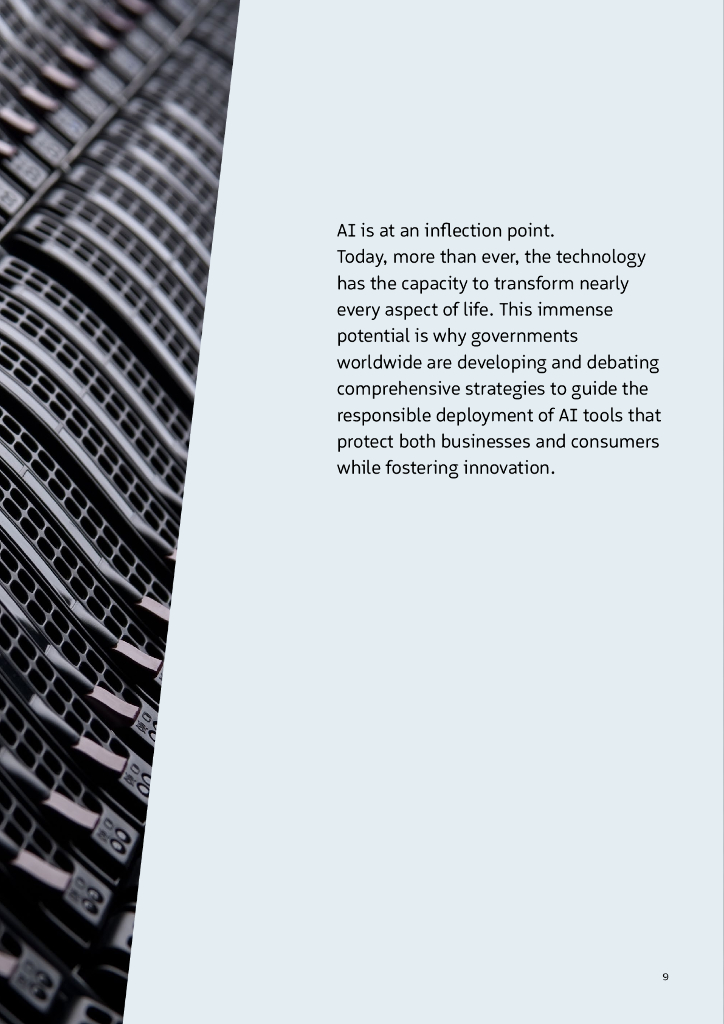 奥纬咨询：2025年人工智能报告：政府行动路线图AI（英文版）_第9页
