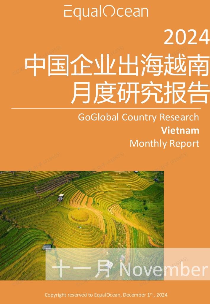 EqualOcean：中国企业出海越南国月度研究报告（2024年11月）