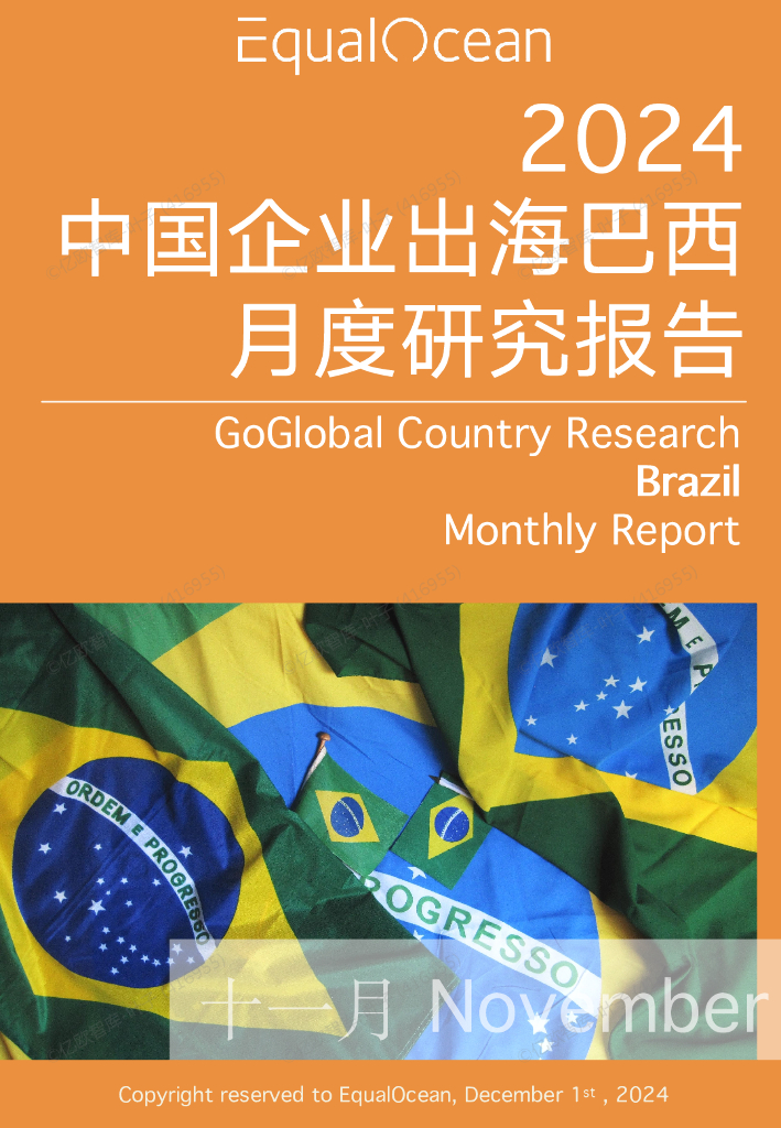 EqualOcean：中国企业出海巴西月度研究报告（2024年11月）