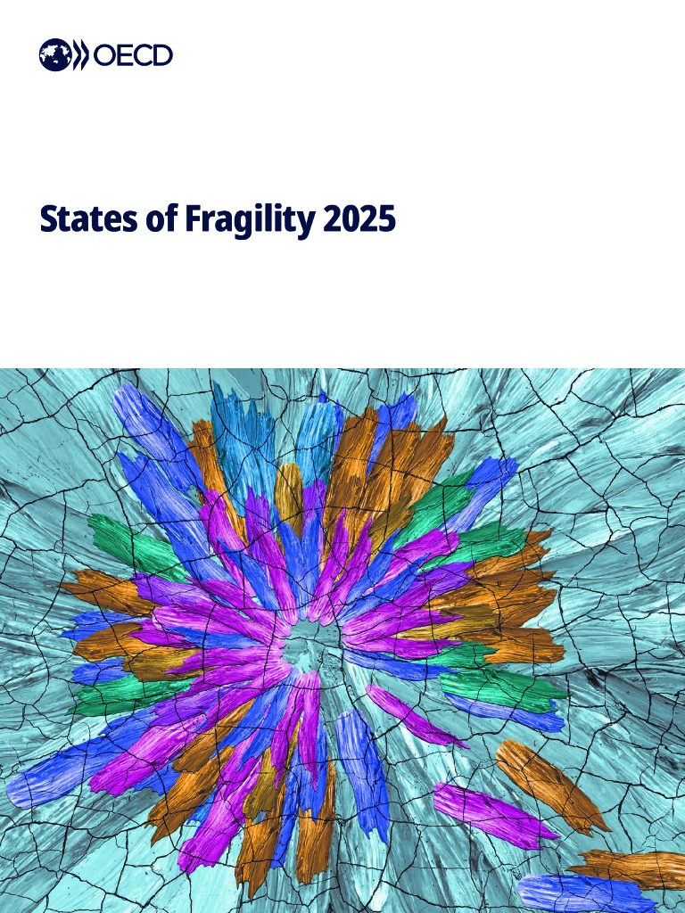 OECD经合组织：2025年全球脆弱性报告（英文版）