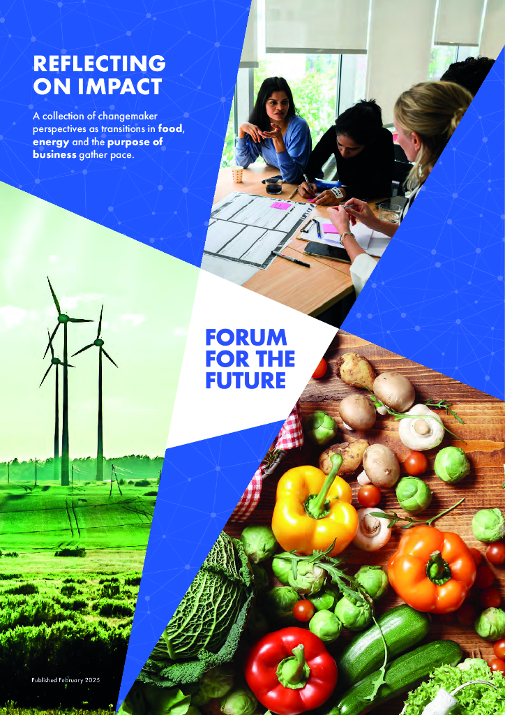 Forum for the Future：2025年反思影响-随着食品、能源和商业目的的转型步伐加快，变革者视角的集合报告（英文版）