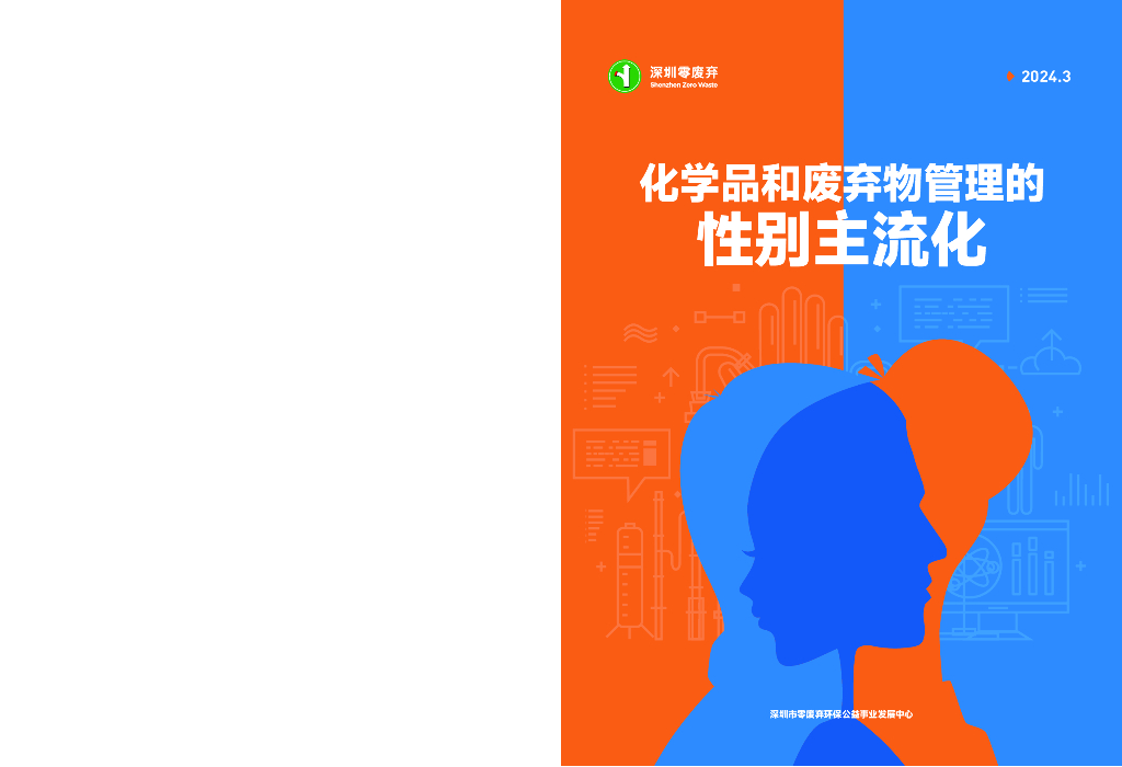 无毒先锋：2024年化学品和废弃物管理的性别主流化报告