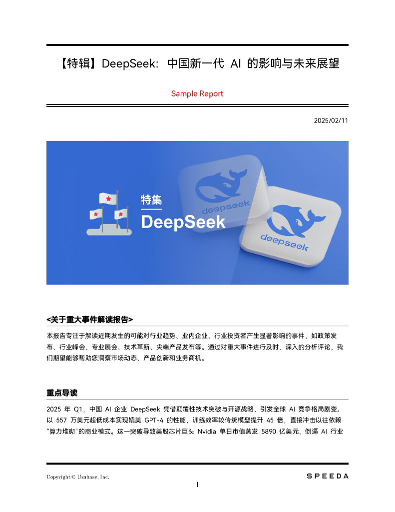 思必达：2025年DeepSeek：中国新一代AI的影响与未来展望报告