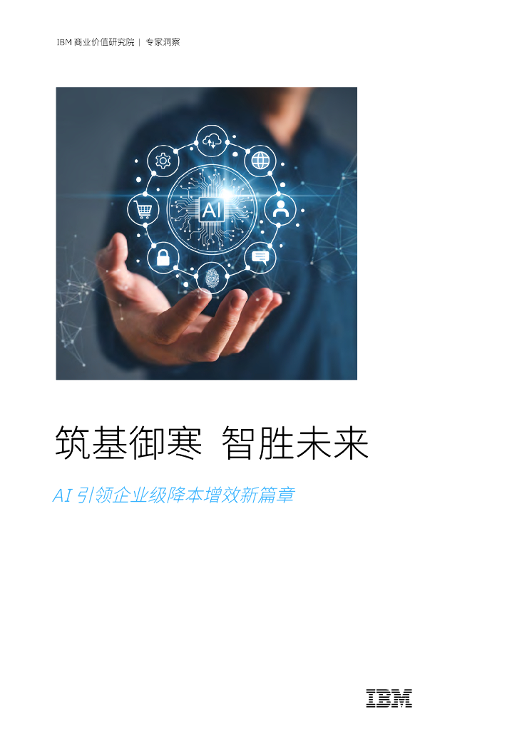 IBM商业价值研究院：2025年筑基御寒智胜未来：AI引领企业级降本增效新篇章报告