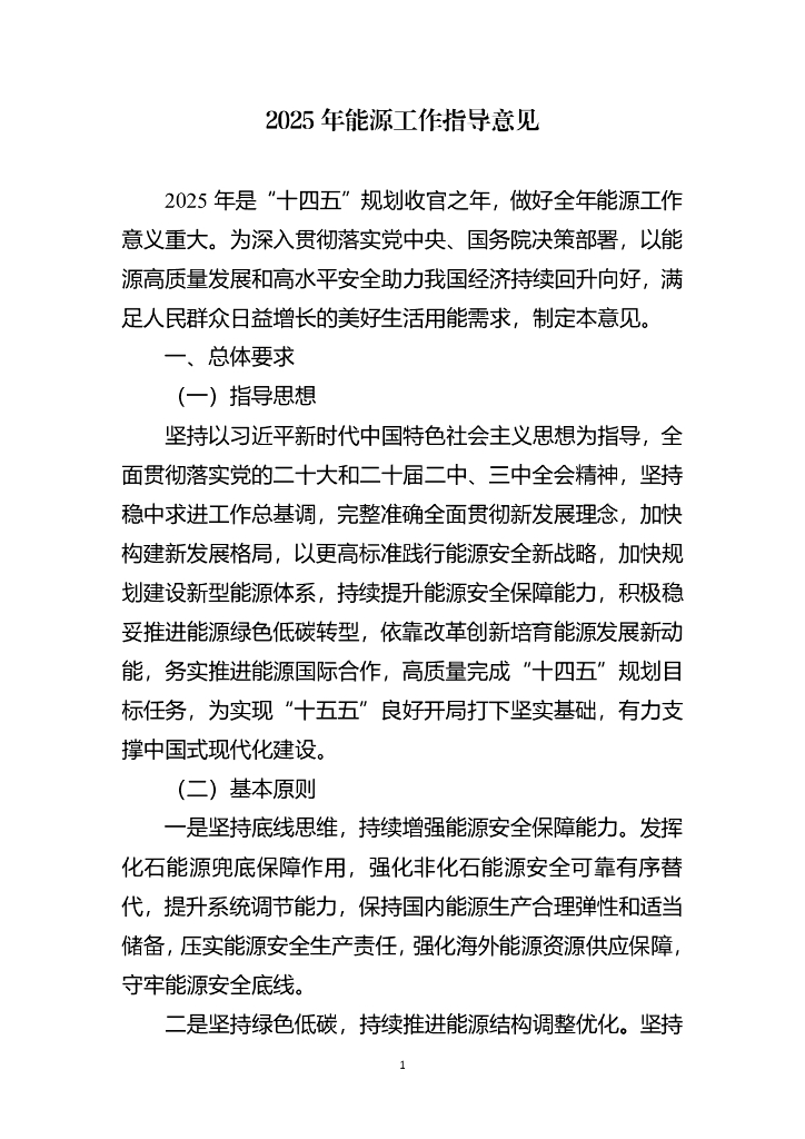 2025年能源工作指导意见