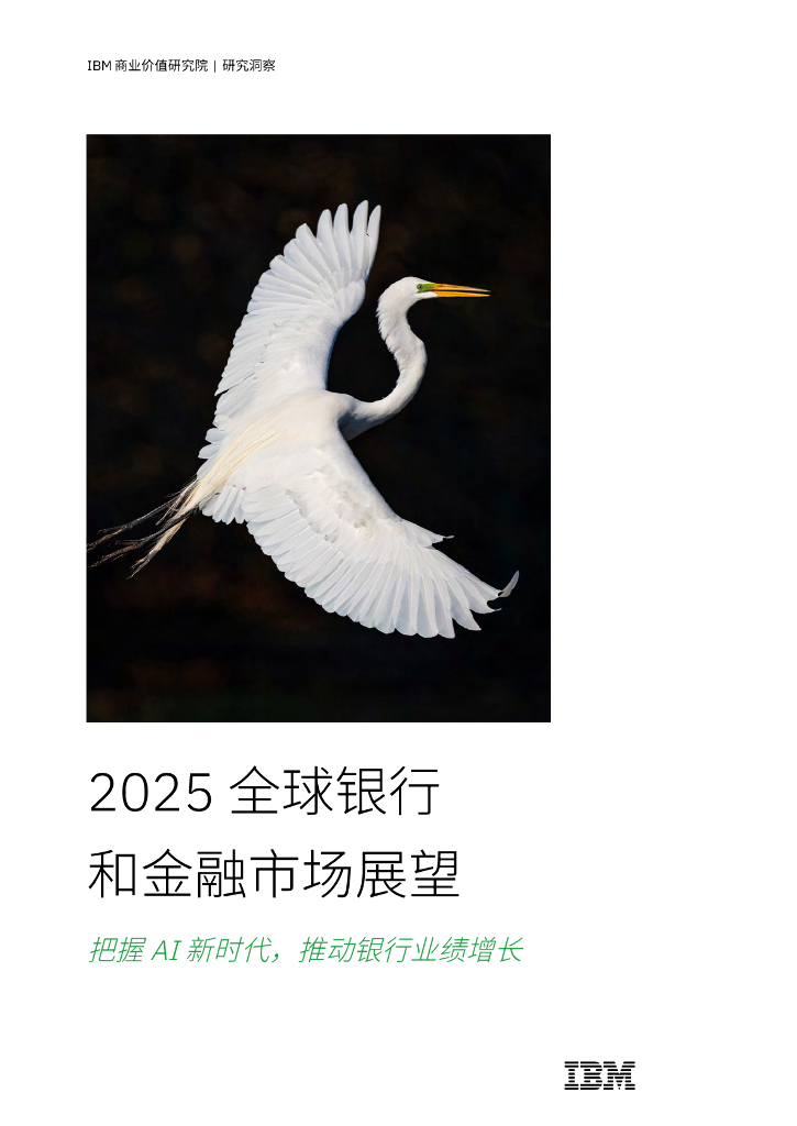 IBM商业价值研究院：2025年全球银行和金融市场展望报告-把握AI新时代推动银行业绩增长