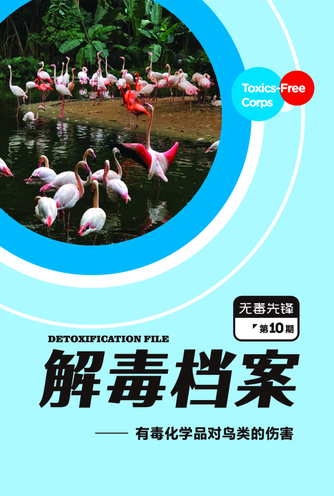 无毒先锋：2020年有毒化学品对鸟类的伤害报告