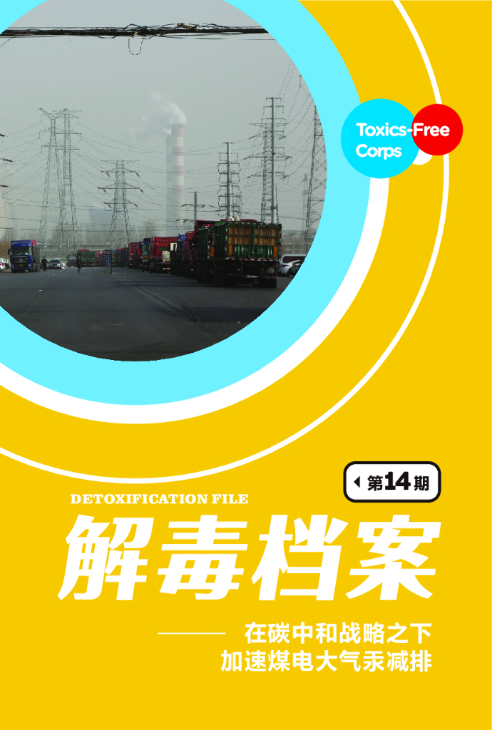 无毒先锋：2021年在碳中和战略之下加速煤电大气汞减排报告