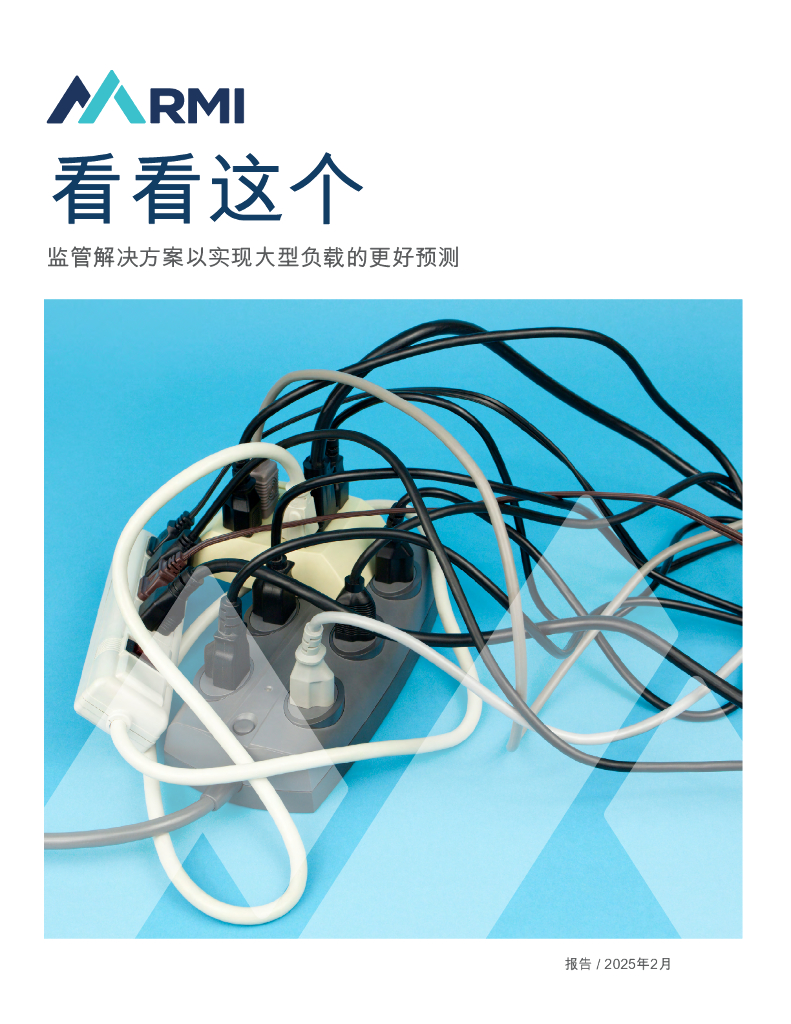 RMI落基山研究所：2025年监管解决方案以实现大型负载的更好预测报告