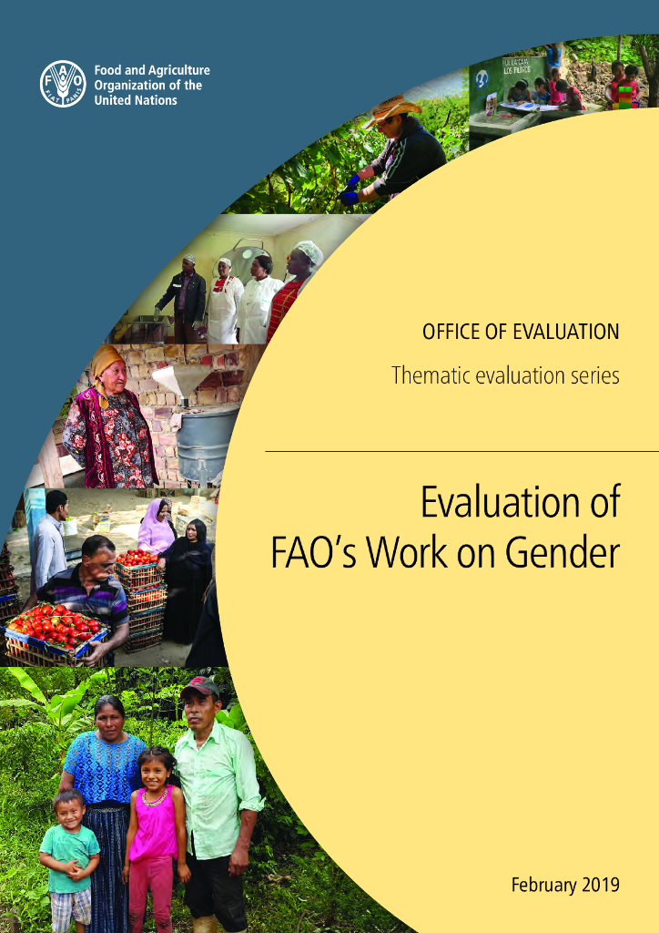 FAO联合国粮农组织：2019年评估粮农组织关于性别的工作主题评估系列报告（英文版）