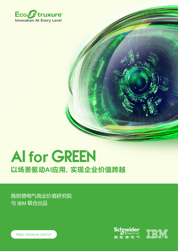 施耐德电气&IBM商业价值研究院：2025年AI for GREEN以场景驱动AI应用，实现企业价值跨越报告
