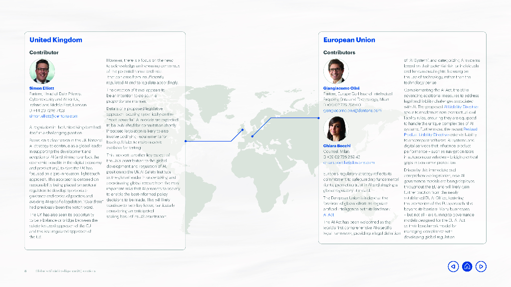 DENTONS：2025年全球人工智能趋势报告：关键法律问题（英文版）_第8页