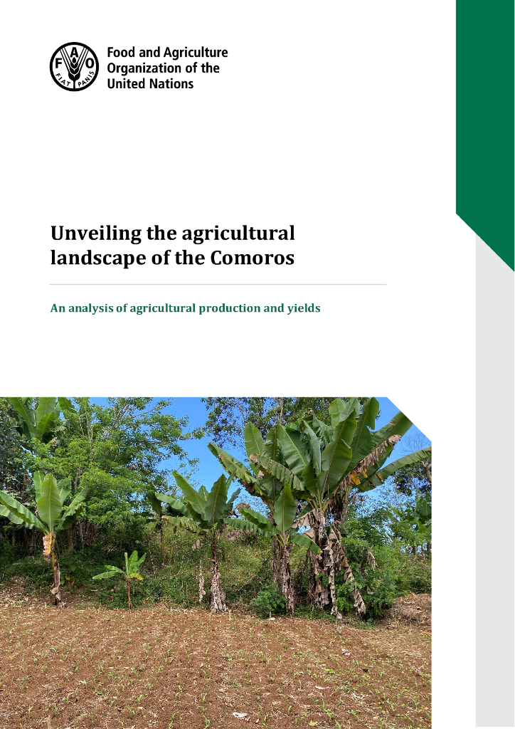 FAO联合国粮农组织：2025年揭开科莫罗斯的农业景观-农业生产和产量的分析报告（英文版）