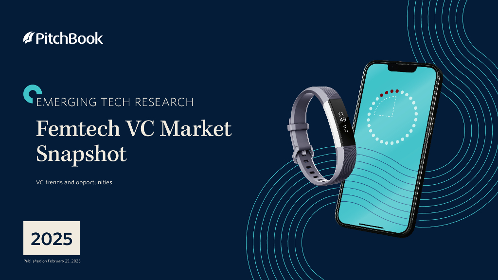 PitchBook：2025年女性科技风险投资市场快照（英文版）