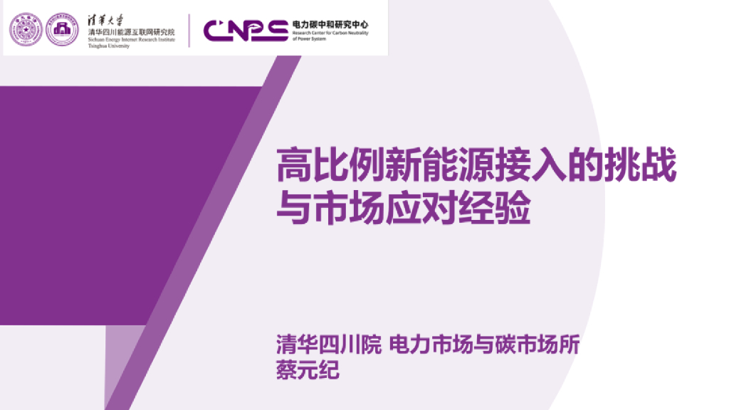 清华四川院（蔡元纪）：2025年高比例新能源接入的挑战与市场应对经验报告