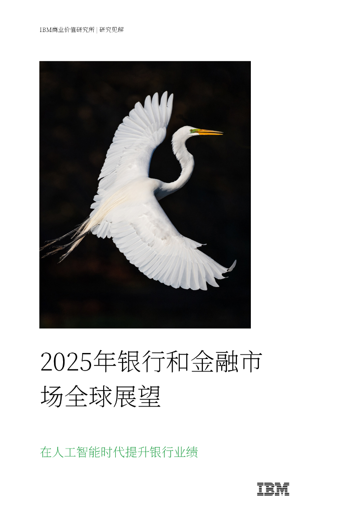 IBM商业价值研究院：2025年全球银行业和金融市场展望报告-在AI时代提升银行业绩