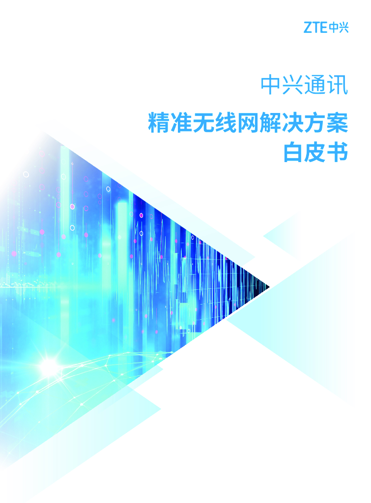中兴通讯：2025年精准无线网解决方案白皮书 海报