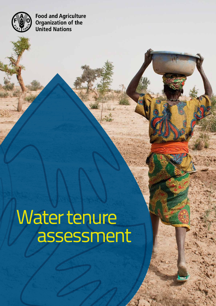 FAO联合国粮农组织：2025年水权限评估报告（英文版）