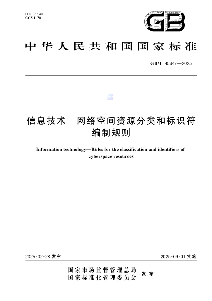 GB/T 45347-2025 信息技术 网络空间资源分类和标识符编制规则