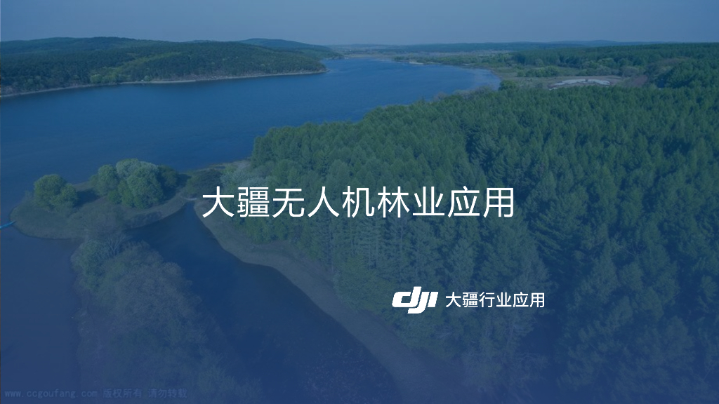 大疆：智慧林业无人机解决方案
