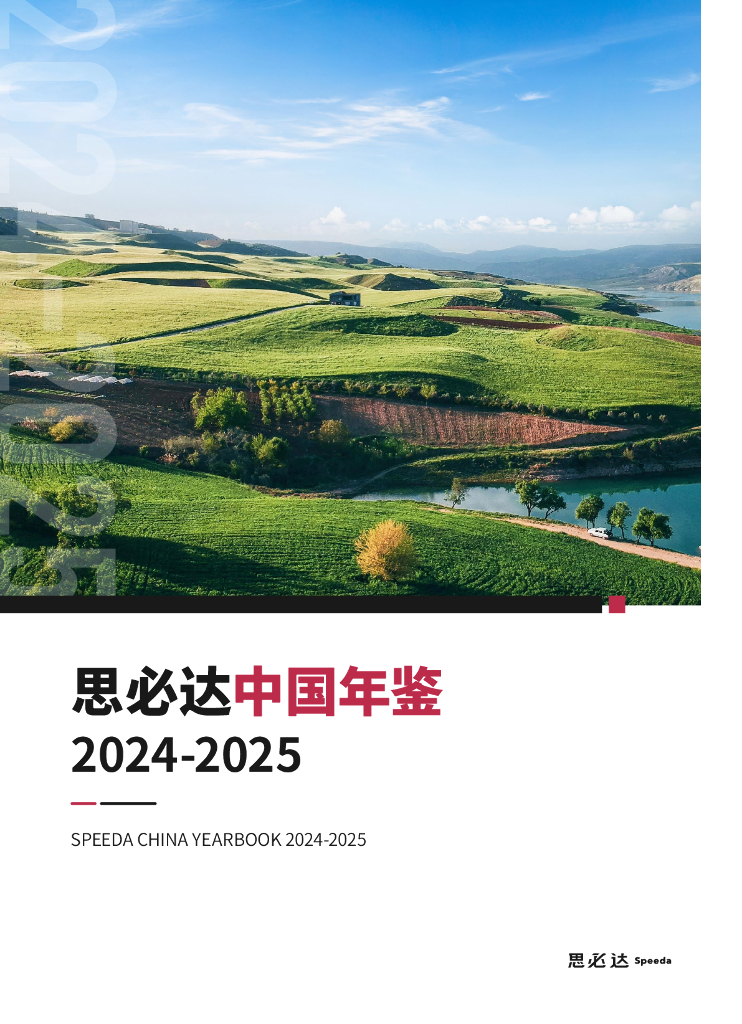 思必达：2024-2025年思必达中国年鉴