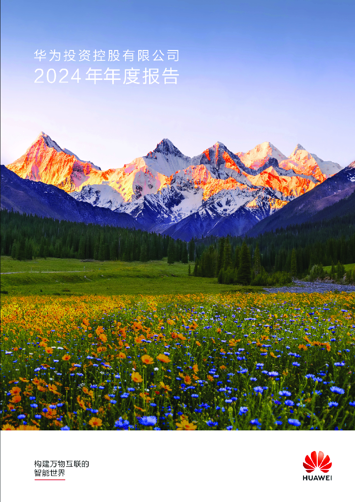 华为控股有限公司2024年年度报告