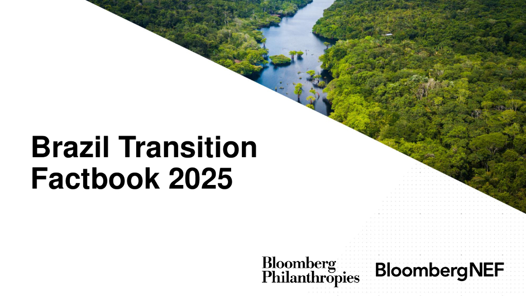 BloombergNEF：2025年巴西过渡事实书（英文版）