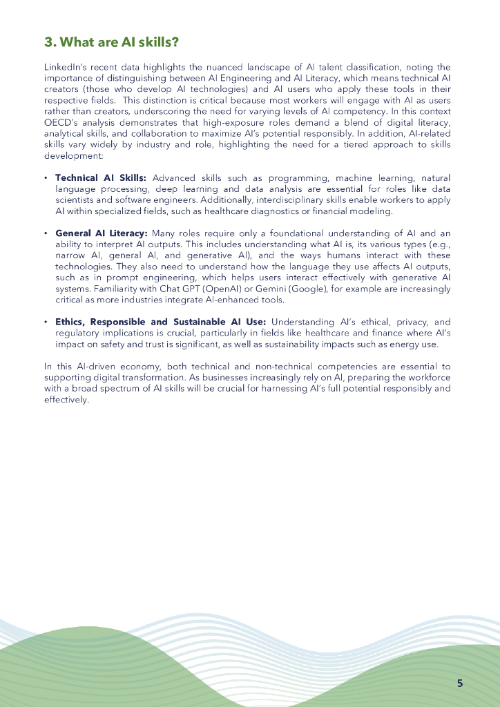 OECD经合组织：2024年人工智能（AI）技能赋能生产力与企业增长研究报告（英文版）_第8页