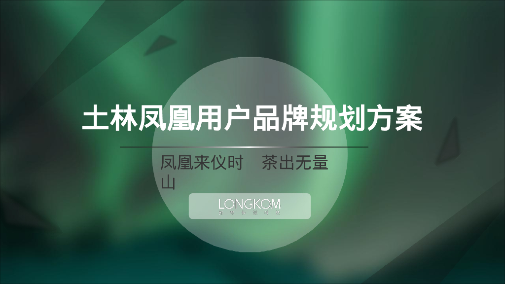 土林凤凰用户品牌规划方案【茶叶品牌】