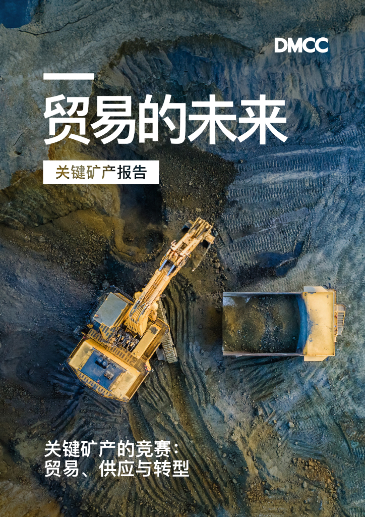 DMCC：2025年贸易的未来-关键矿产报告