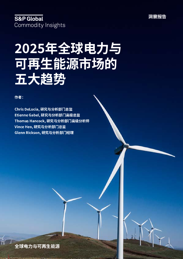 标普全球：2025年全球电力与可再生能源市场的五大趋势报告