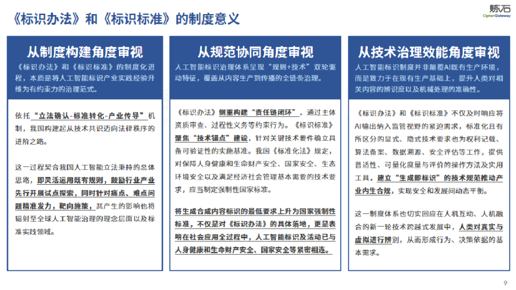 炼石网络：2025年图解四部门《人工智能生成合成内容标识办法》及配套强制性国标与指南_第9页
