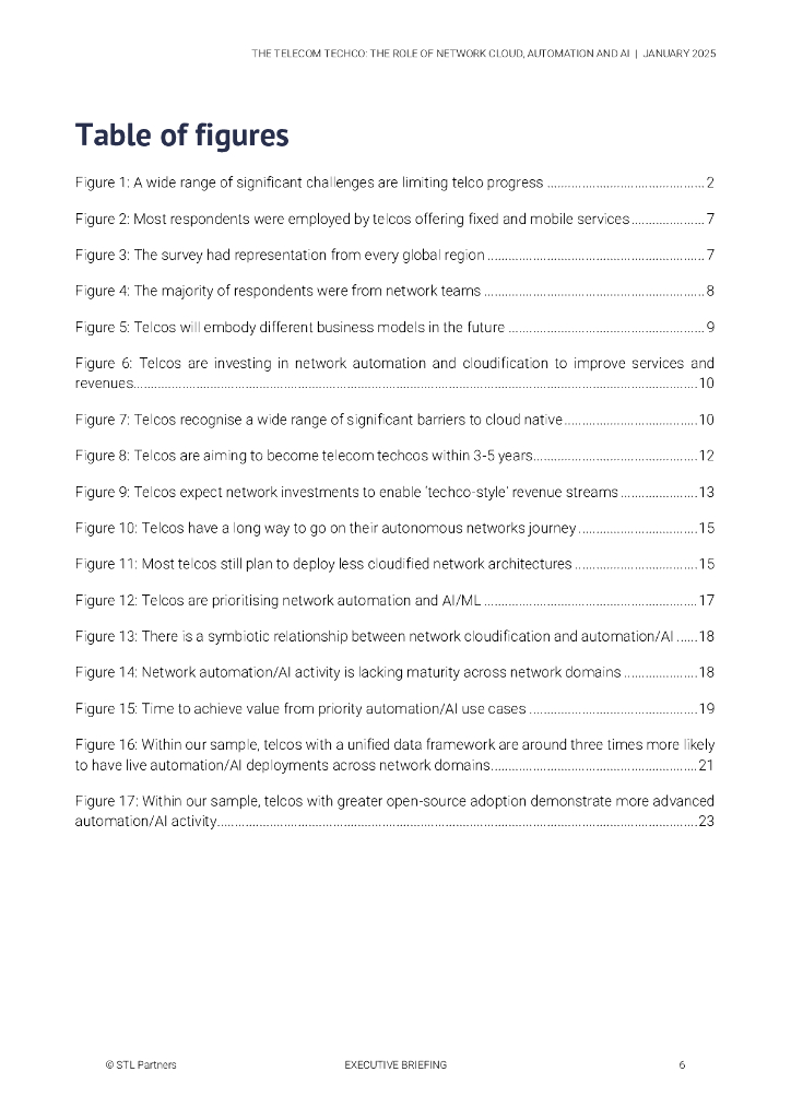 STL Partner：2025年电信科技公司转型研究报告：网络云、自动化及人工智能的加速作用（英文版）_第6页