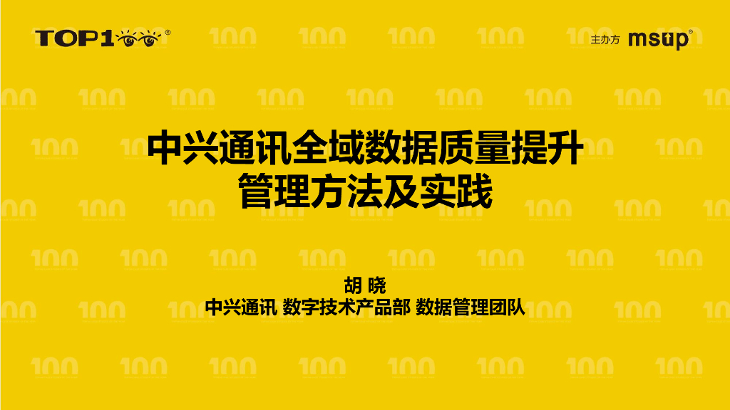 中兴（胡晓）：中兴通讯全域数据治理实践