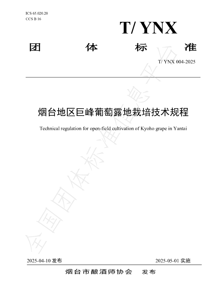 T/YNX 004-2025 烟台地区巨峰葡萄露地栽培技术规程